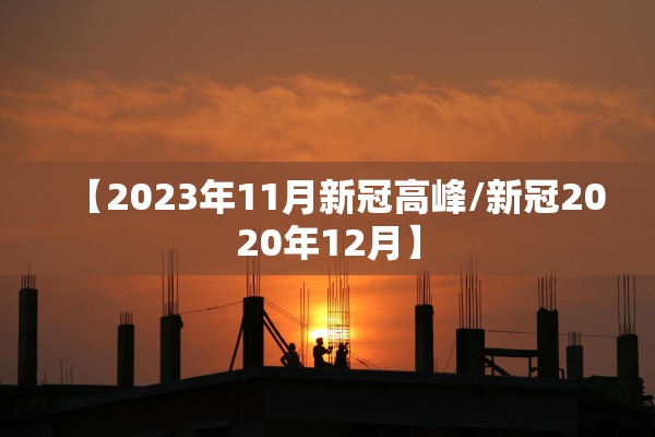 【2023年11月新冠高峰/新冠2020年12月】