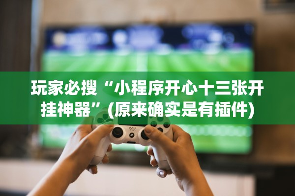 玩家必搜“小程序开心十三张开挂神器”(原来确实是有插件)