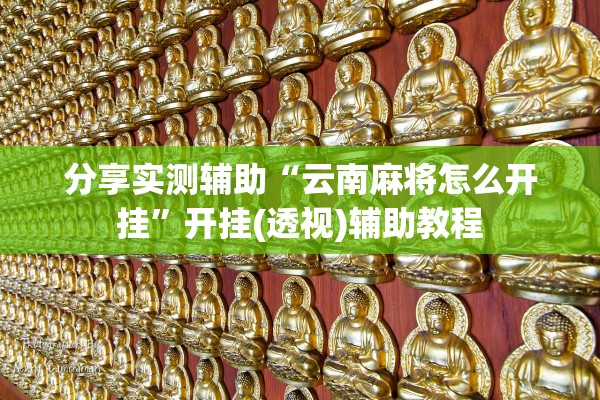 分享实测辅助“云南麻将怎么开挂	”开挂(透视)辅助教程