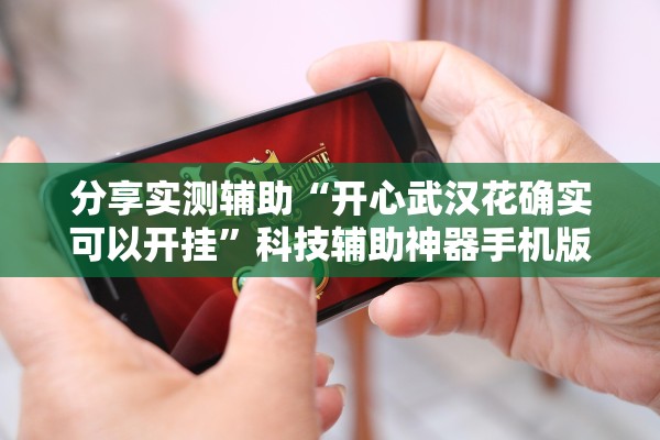 分享实测辅助“开心武汉花确实可以开挂”科技辅助神器手机版教程