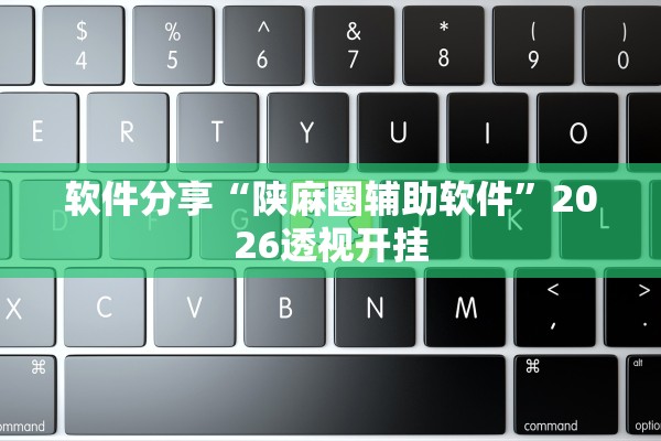软件分享“陕麻圈辅助软件”2026透视开挂