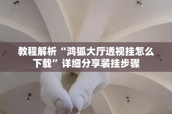 教程解析“鸿狐大厅透视挂怎么下载”详细分享装挂步骤