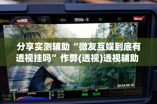 分享实测辅助“微友互娱到底有透视挂吗”作弊(透视)透视辅助 