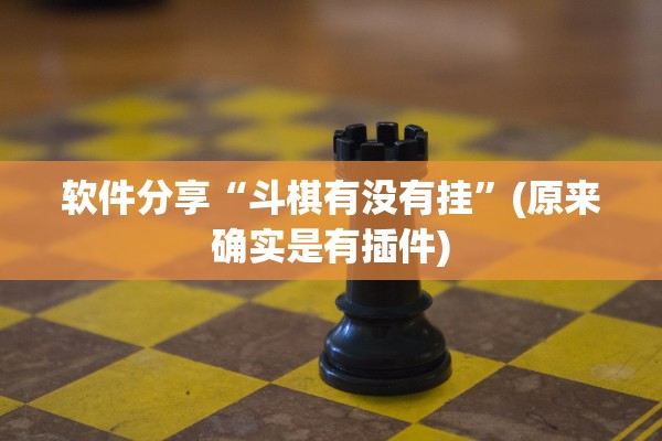 软件分享“斗棋有没有挂”(原来确实是有插件)