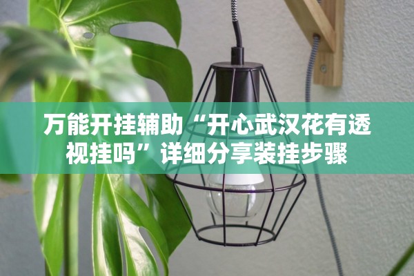 万能开挂辅助“开心武汉花有透视挂吗”详细分享装挂步骤