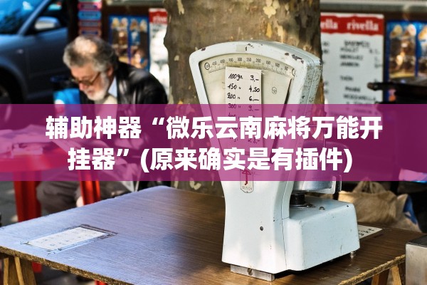 辅助神器“微乐云南麻将万能开挂器”(原来确实是有插件) 