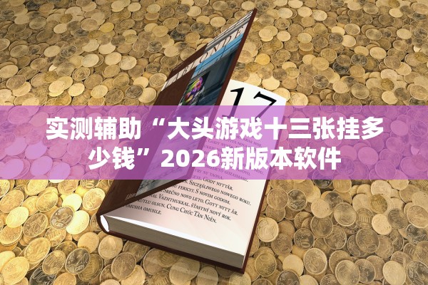 实测辅助“大头游戏十三张挂多少钱”2026新版本软件
