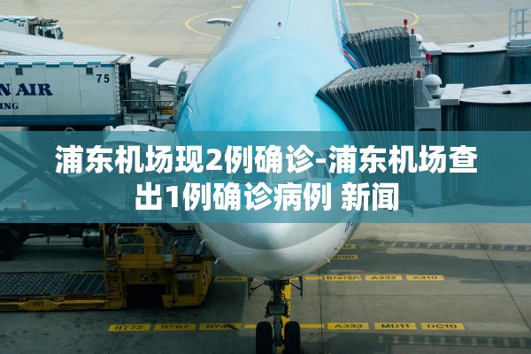浦东机场现2例确诊-浦东机场查出1例确诊病例 新闻