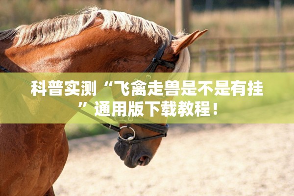 科普实测“飞禽走兽是不是有挂	”通用版下载教程！