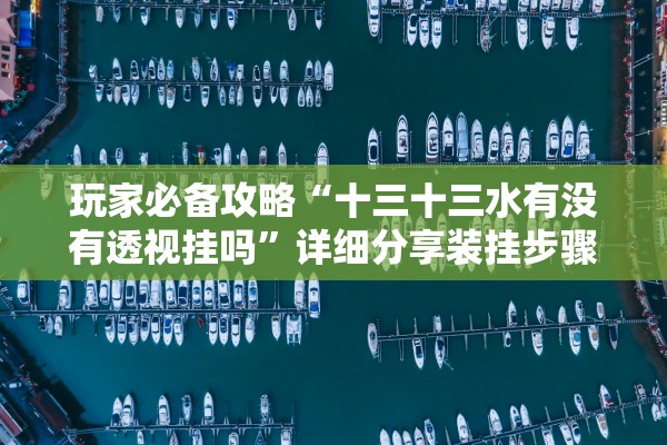 玩家必备攻略“十三十三水有没有透视挂吗”详细分享装挂步骤教程