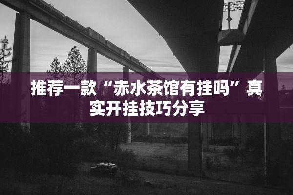 推荐一款“赤水茶馆有挂吗”真实开挂技巧分享