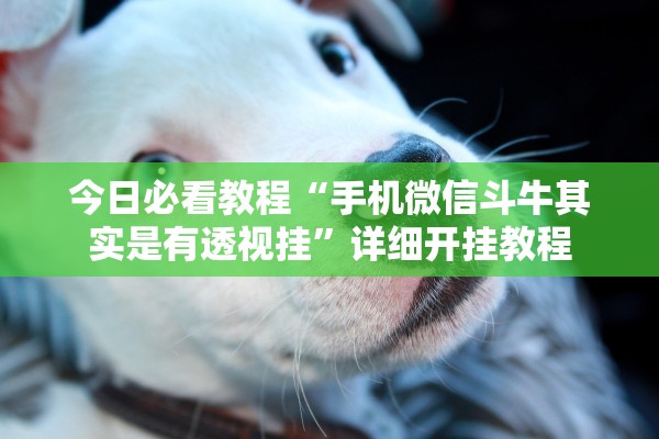 今日必看教程“手机微信斗牛其实是有透视挂”详细开挂教程