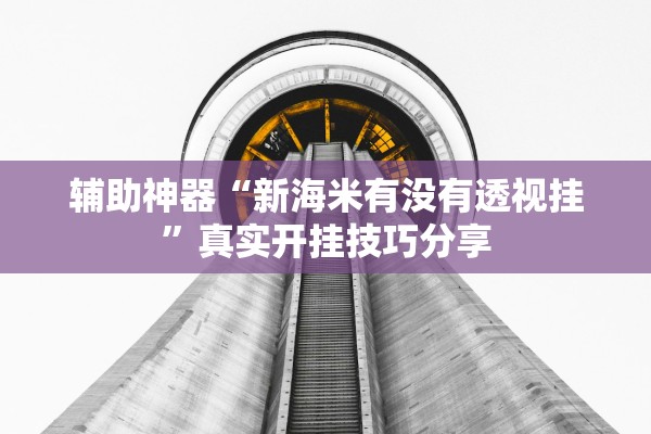 辅助神器“新海米有没有透视挂”真实开挂技巧分享