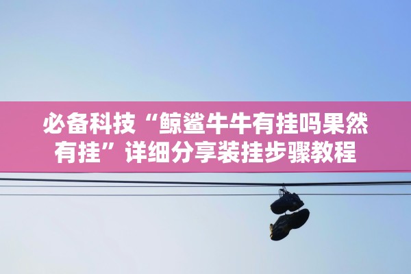 必备科技“鲸鲨牛牛有挂吗果然有挂”详细分享装挂步骤教程