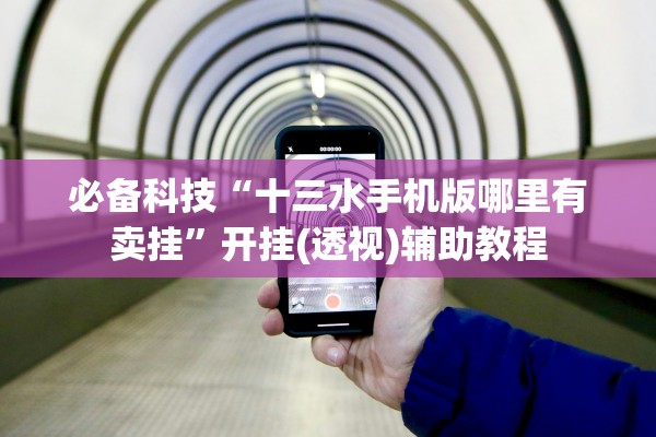 必备科技“十三水手机版哪里有卖挂”开挂(透视)辅助教程