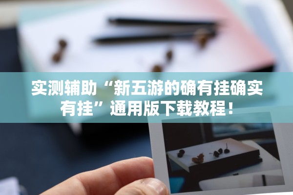 实测辅助“新五游的确有挂确实有挂”通用版下载教程！
