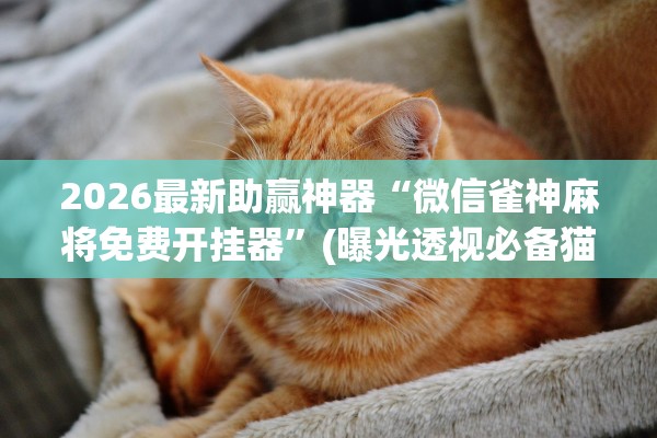 2026最新助赢神器“微信雀神麻将免费开挂器	”(曝光透视必备猫腻)
