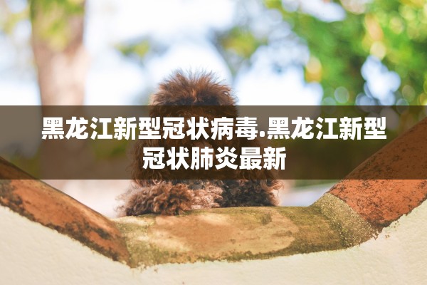 黑龙江新型冠状病毒.黑龙江新型冠状肺炎最新