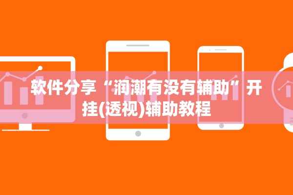 软件分享“润潮有没有辅助”开挂(透视)辅助教程
