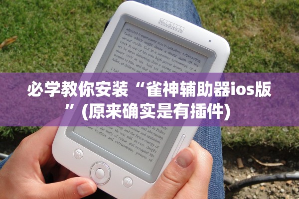 必学教你安装“雀神辅助器ios版	”(原来确实是有插件) 