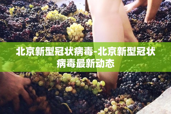 北京新型冠状病毒-北京新型冠状病毒最新动态
