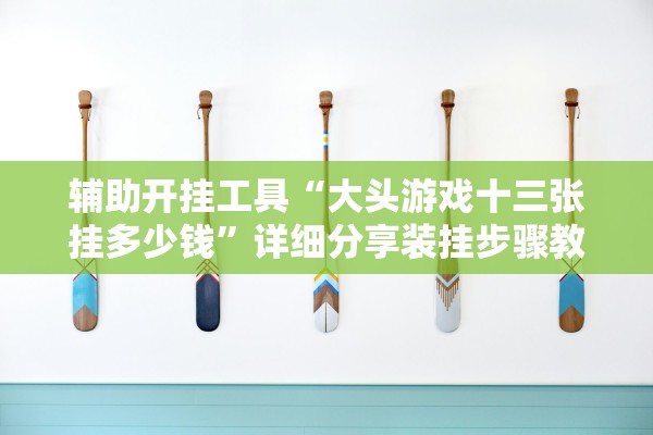 辅助开挂工具“大头游戏十三张挂多少钱”详细分享装挂步骤教程