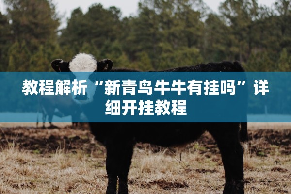 教程解析“新青鸟牛牛有挂吗”详细开挂教程