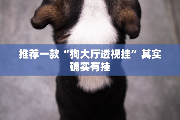 推荐一款“狗大厅透视挂	”其实确实有挂