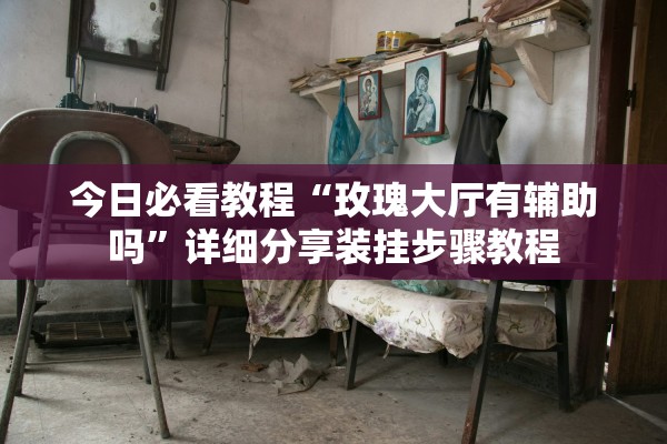 今日必看教程“玫瑰大厅有辅助吗”详细分享装挂步骤教程