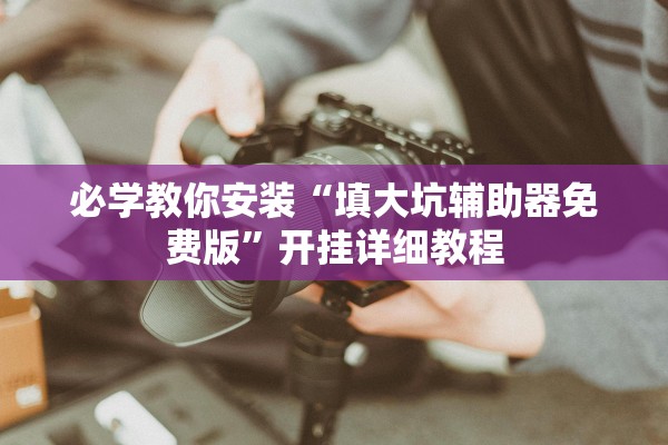 必学教你安装“填大坑辅助器免费版”开挂详细教程