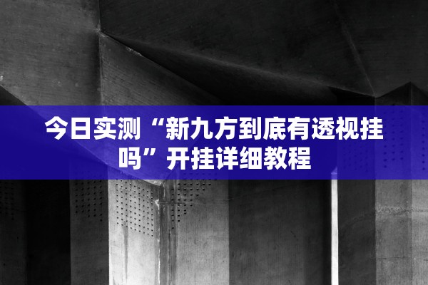 今日实测“新九方到底有透视挂吗”开挂详细教程