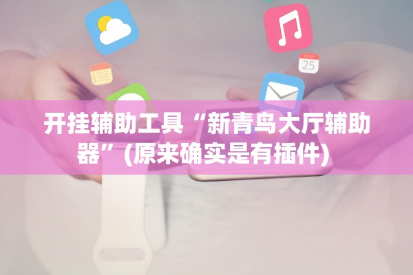 开挂辅助工具“新青鸟大厅辅助器”(原来确实是有插件) 