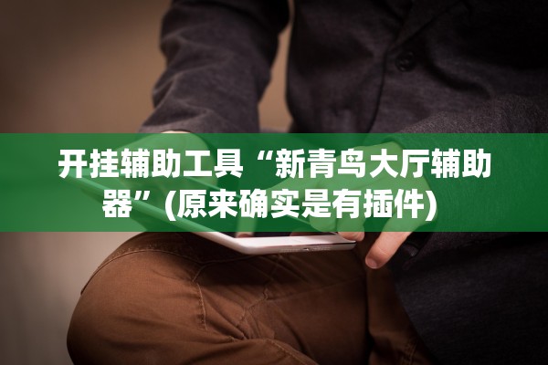 开挂辅助工具“新青鸟大厅辅助器”(原来确实是有插件) 