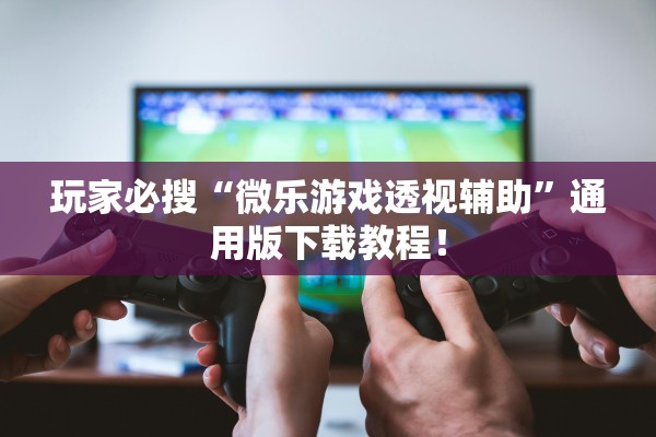 玩家必搜“微乐游戏透视辅助”通用版下载教程！