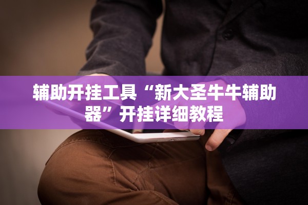 辅助开挂工具“新大圣牛牛辅助器	”开挂详细教程