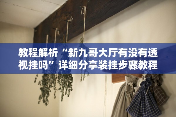 教程解析“新九哥大厅有没有透视挂吗	”详细分享装挂步骤教程
