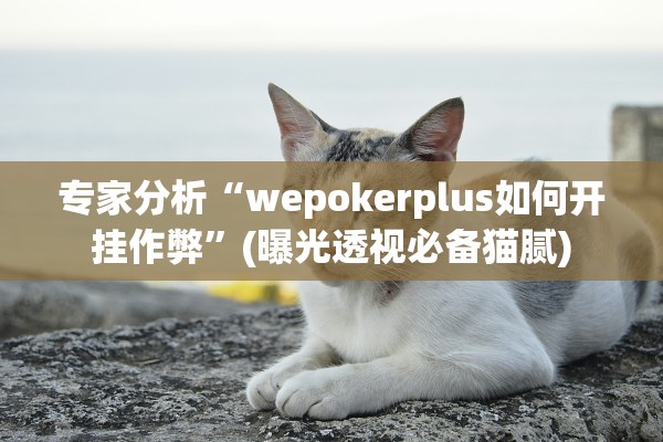 专家分析“wepokerplus如何开挂作弊”(曝光透视必备猫腻)