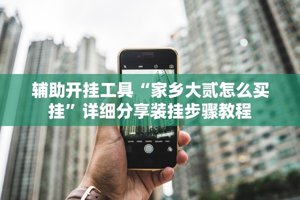 辅助开挂工具“家乡大贰怎么买挂”详细分享装挂步骤教程