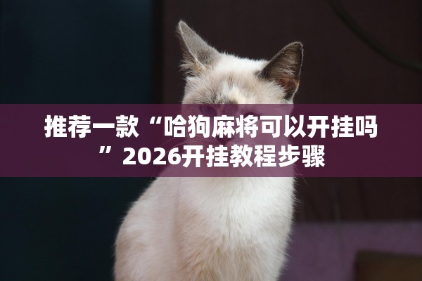 推荐一款“哈狗麻将可以开挂吗”2026开挂教程步骤