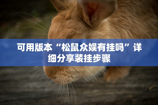 可用版本“松鼠众娱有挂吗”详细分享装挂步骤
