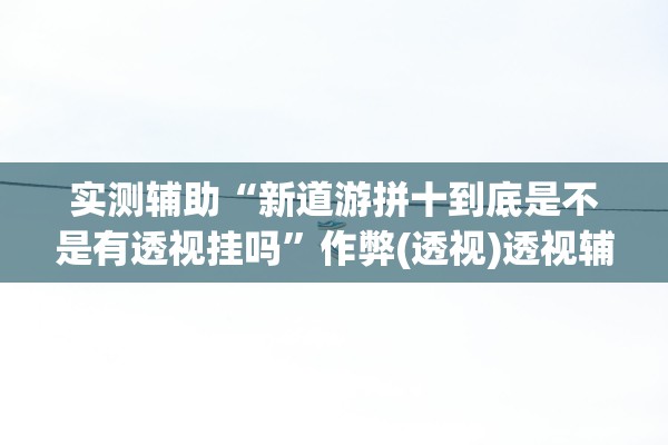 实测辅助“新道游拼十到底是不是有透视挂吗	”作弊(透视)透视辅助 