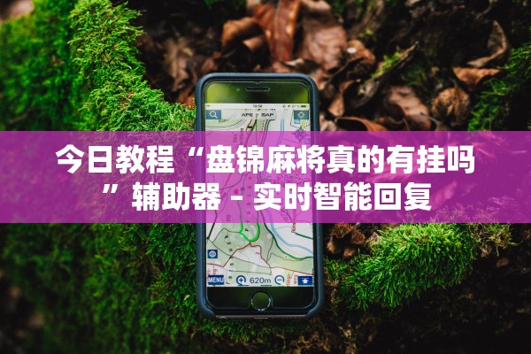 今日教程“盘锦麻将真的有挂吗”辅助器 – 实时智能回复
