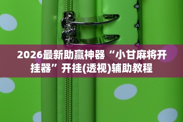2026最新助赢神器“小甘麻将开挂器”开挂(透视)辅助教程