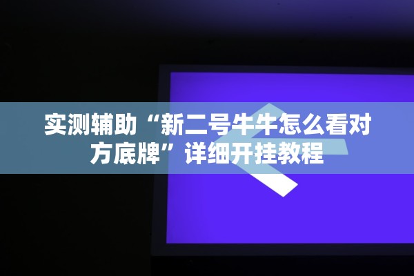 实测辅助“新二号牛牛怎么看对方底牌”详细开挂教程