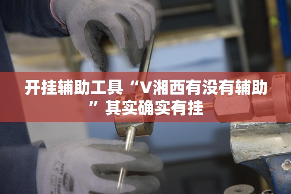 开挂辅助工具“V湘西有没有辅助”其实确实有挂