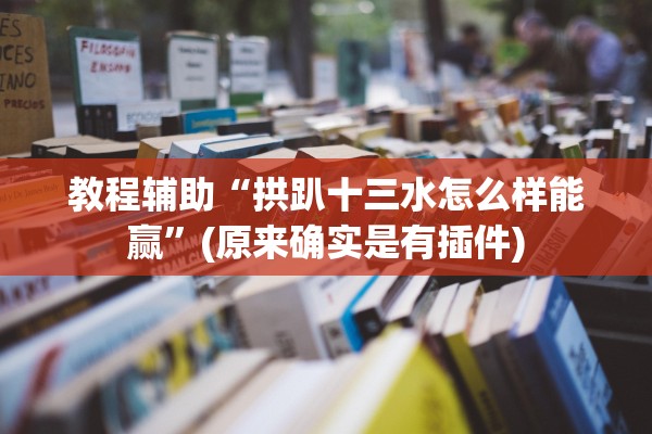 教程辅助“拱趴十三水怎么样能赢”(原来确实是有插件)