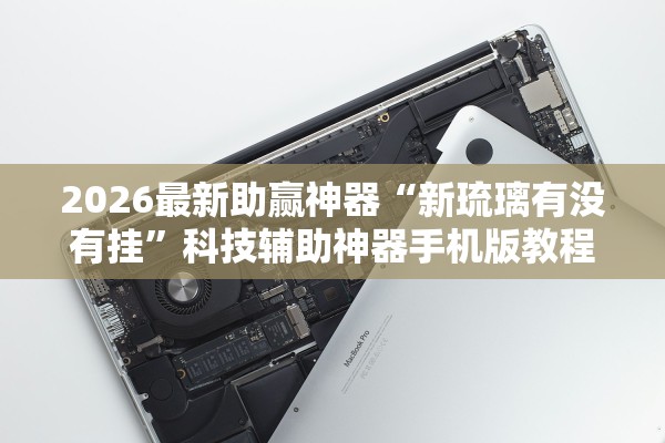 2026最新助赢神器“新琉璃有没有挂”科技辅助神器手机版教程