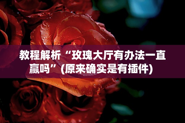 教程解析“玫瑰大厅有办法一直赢吗”(原来确实是有插件) 