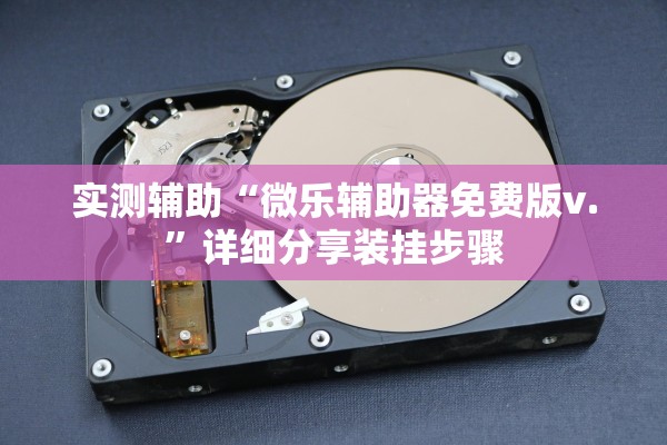 实测辅助“微乐辅助器免费版v.”详细分享装挂步骤