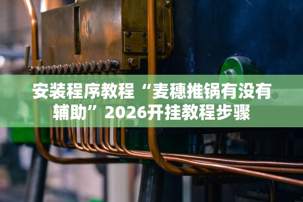 安装程序教程“麦穗推锅有没有辅助”2026开挂教程步骤